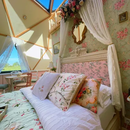 L'etoile De Baynes *