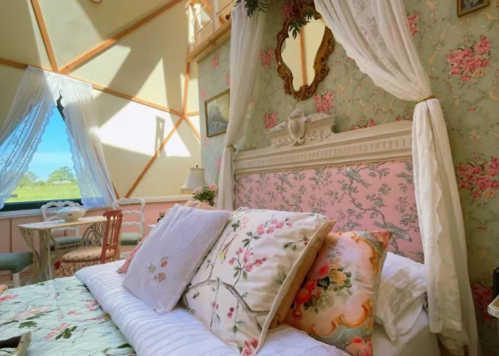 L'etoile De Baynes *